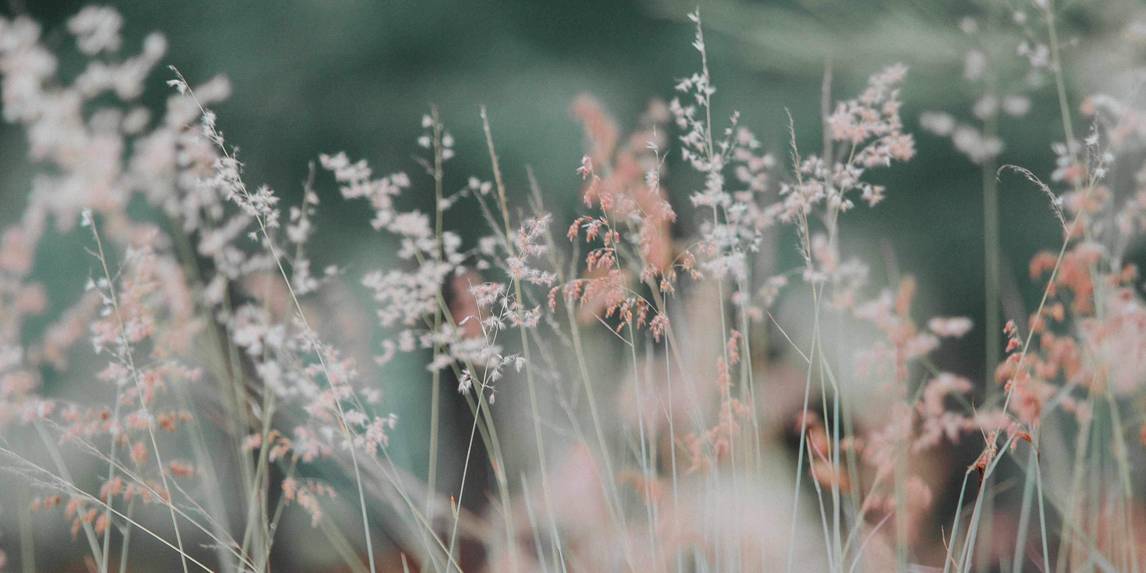 header background image