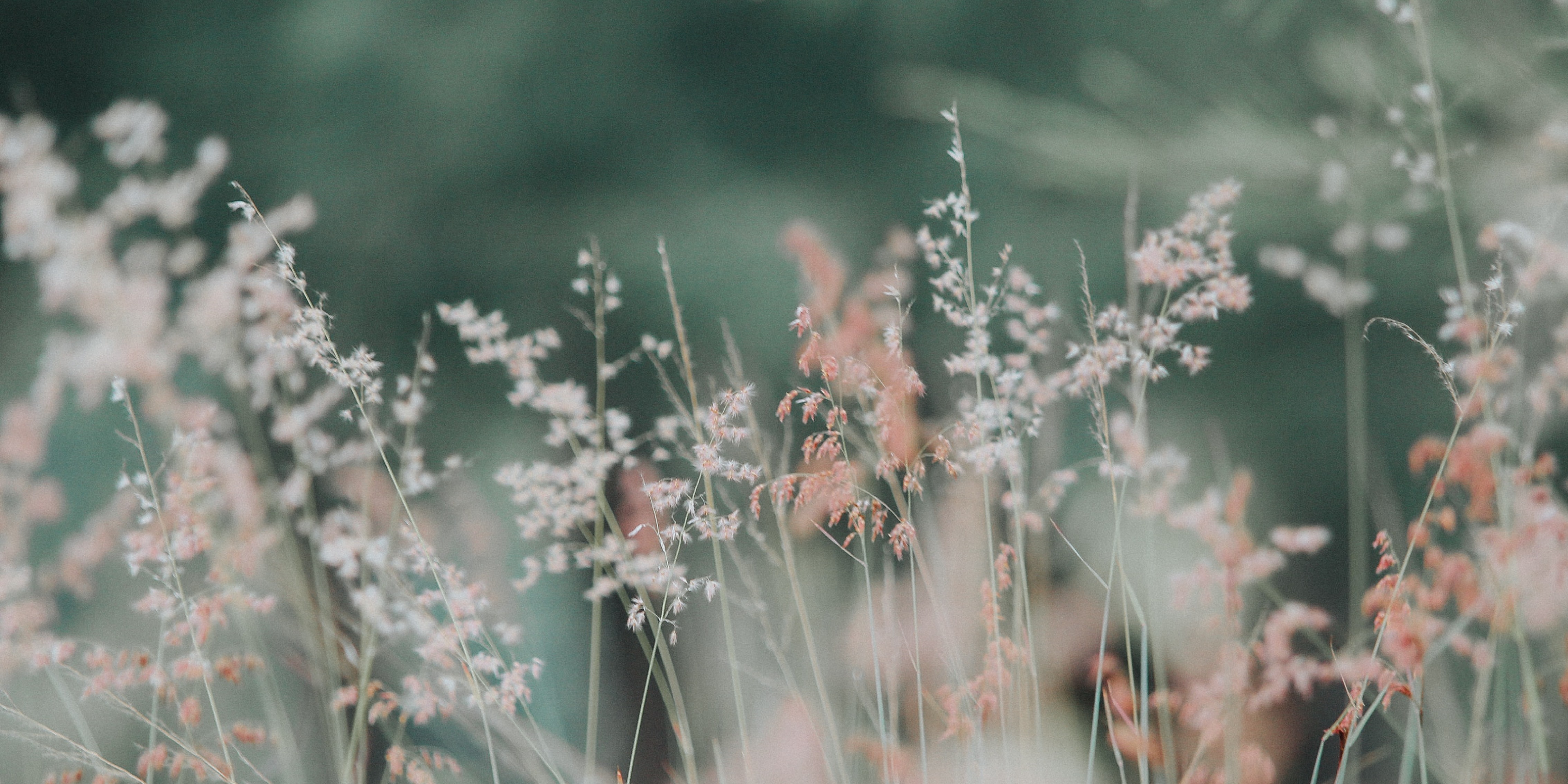 header background image